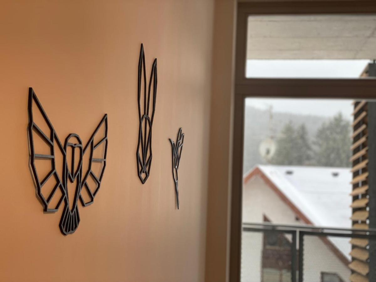 Luxusni Apartman U Sjezdovek S Garazi Harrachov Exterior photo
